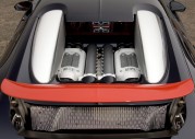 Bugatti Veyron Pur Sang